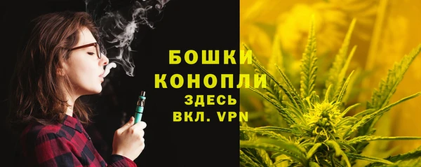 первитин Осташков