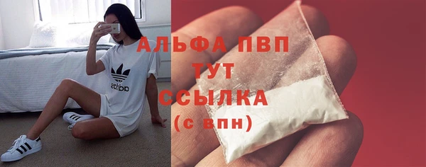 ECSTASY Осинники