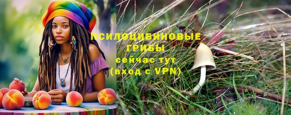 ECSTASY Осинники