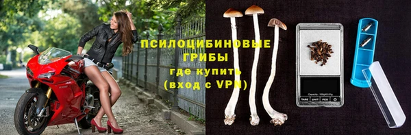первитин Осташков