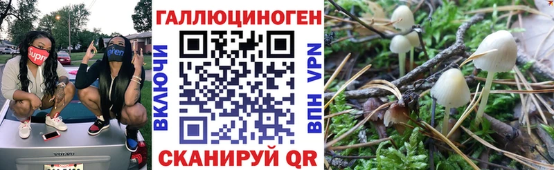 Псилоцибиновые грибы мухоморы  Купить закладки  Изобильный 
